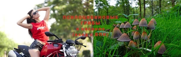 a pvp Верея